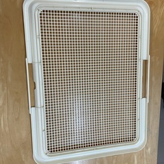 トイレトレー
　　犬トイレの画像