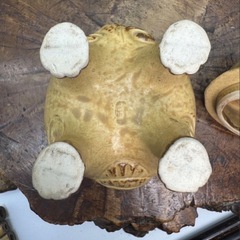 時代物 織部焼 背戸窯 窯元 陶丘堂丈助 作 香炉 共箱 在銘 良品 古瀬戸 香道具 茶道具 獅子 茶器 煎茶器 煎茶道具 和骨董 和美術 古玩 狛犬 の画像