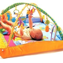 ベビージム プレイマット タイニーラブの画像