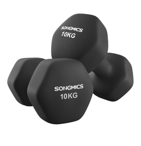 ダンベル　10kg✖︎2 　