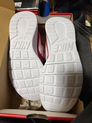 靴/バッグ WMNS NIKE TANJUN 24