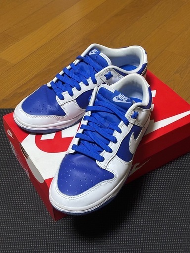 【2、3回着用】NIKE  DUNK LOW RETRO 27cm