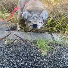 可愛がって下さい