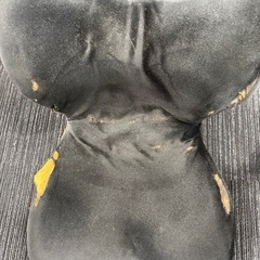 【ジャンク】MTG スタイルプレミアム（リコール対象品）の画像