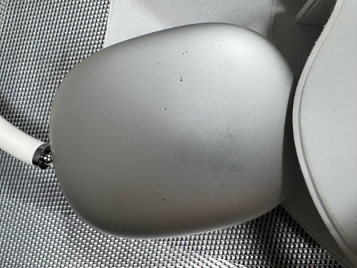 air pods pro max
