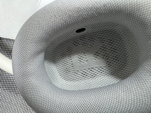 air pods pro max