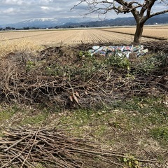 【公共工事の現場補助スタッフ】旭市／日当12,000円（移動含む）の画像