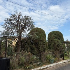 【公共工事の現場補助スタッフ】旭市／日当12,000円（移動含む）の画像