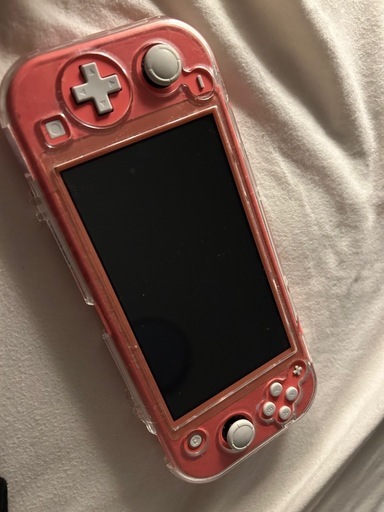 Switch  Lite カセット付き 