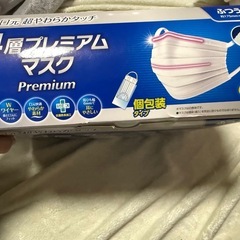 コストコ　個包装マスク　60枚入りの画像
