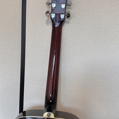 James J-500D OVANAT
の画像