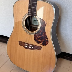 James J-500D OVANAT
の画像