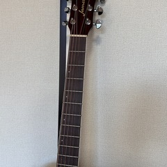 James J-500D OVANAT
の画像
