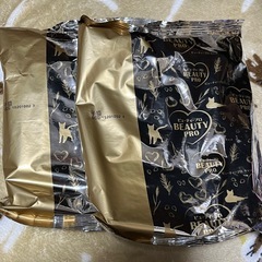 子猫ご飯の画像