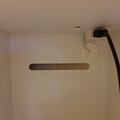 食器棚（3月8日午前中取りもしくは9日午前中に来てくれる方限定）の画像