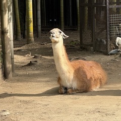 アラフィフ会（少人数）