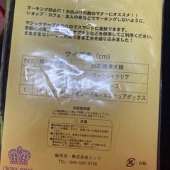 未使用品‼️小型犬用マナーベルトMサイズの画像