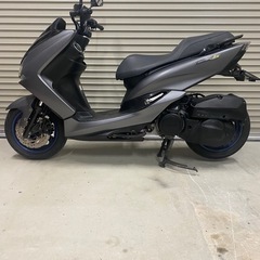 マジェスティsの画像