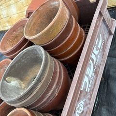 素焼き鉢②の画像