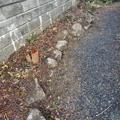 土（持って帰り放題）の画像