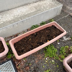 プランター4個　トマト支柱の画像