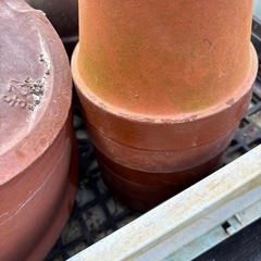 素焼き鉢③の画像