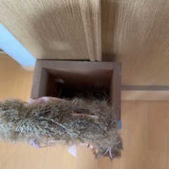 カントリー雑貨　傘立ての画像