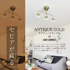 定価24200円　AIRCORNO 035 アンティーク調 天井照明 3灯　の画像