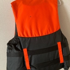 ライフジャケット大人用
の画像