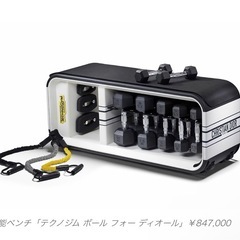 テクノジム ディオール コラボ ダンベルセットの画像