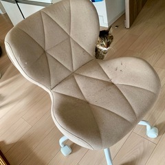 子ども用回転いす椅子の画像