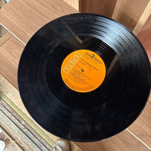 レコード　ケースなし　Paul Anka Gold Deluxe