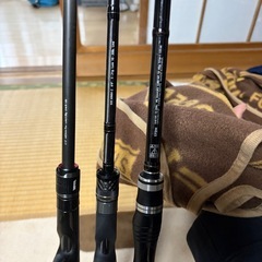 ベイトロッド、ベイトリール
の画像