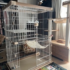 ペットゲージ　2段　アイリスオーヤマ　定価2万の画像