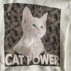処分❗️ WCJ cat powerパーカーの画像
