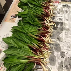 今年こそ　山菜