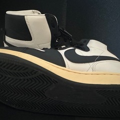 NIKEレトロダンクの画像
