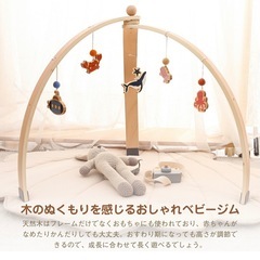Etucdose ベビージム　木製の画像