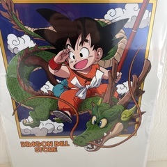 ドラゴンボール　第一巻シリーズ色々　孫悟空　入手困難品色々　浮き絵【銅】の画像
