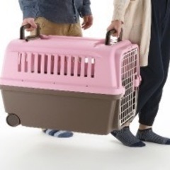 【新品未使用✨】リッチェル　キャンピングキャリー　ペット　クレートの画像