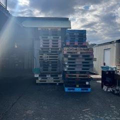 中古　プラスチックパレット　サイズまちまちパレット10枚の画像