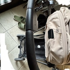 〈2025年購入〉サイベックス メリオカーボンの画像