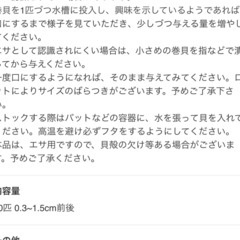 サカマキガイ、モノアラガイの画像