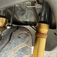 お話中一時募集中止　DIO Z4の画像