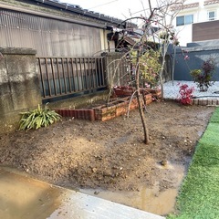 土貰って貰えませんか？の画像