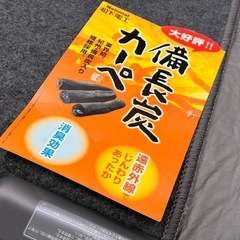 National製⭐️遠赤外線ホットカーペット⭐️超美品！！の画像