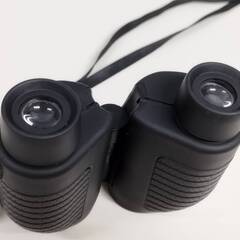 【美品】LUXUN 10×25 Field5.6° 98M/1000M 双眼鏡/フリーフォーカスの画像