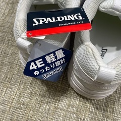 SPALDING 25.5 4E  白の画像