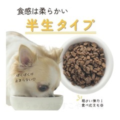 ドックフード　華ちゃん犬猫すこやか本舗　やわか　国産　無添加　華味鳥の画像