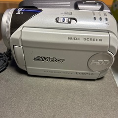 かなり昔のHDDビデオカメラの画像